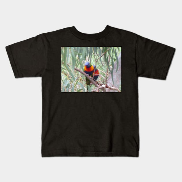 Rainbow Lorikeets Kids T-Shirt by claire-l-page